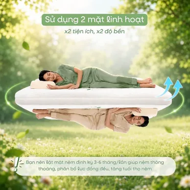 Nệm cao su Gummi 7zones nhập khẩu dày 12cm - Ảnh 12
