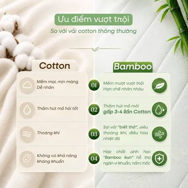 Nệm cao su Gummi 7zones nhập khẩu dày 12cm - Ảnh 11