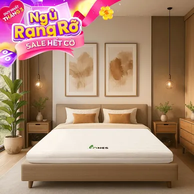 Nệm cao su Gummi 7zones nhập khẩu dày 12cm - Ảnh 2