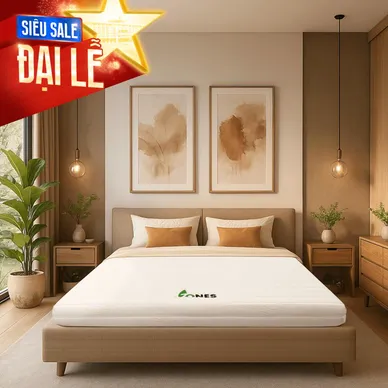 Nệm cao su Gummi 7zones nhập khẩu dày 12cm - Ảnh 2