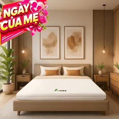 Nệm cao su Gummi 7zones nhập khẩu dày 12cm - Ảnh 2