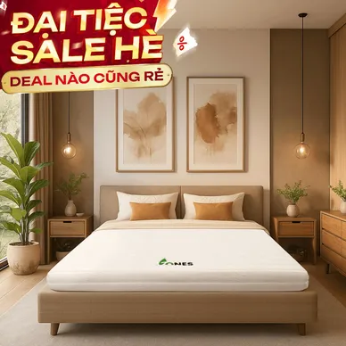Nệm cao su Gummi 7zones nhập khẩu dày 12cm - Ảnh 2