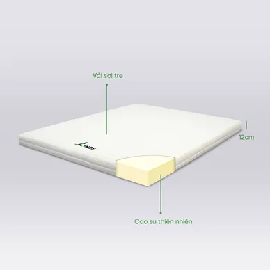 Nệm cao su Gummi 7zones nhập khẩu dày 12cm - Ảnh 11