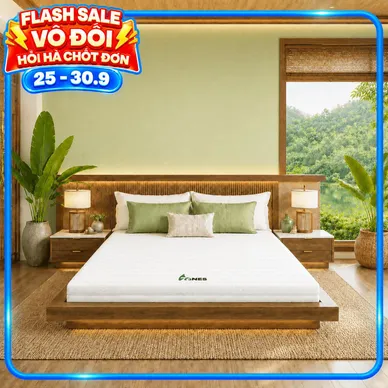Nệm cao su Gummi 7zones nhập khẩu dày 12cm - Ảnh 2