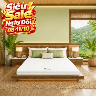 Nệm cao su Gummi 7zones nhập khẩu dày 12cm - Ảnh 2