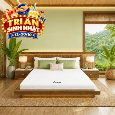 Nệm cao su Gummi 7zones nhập khẩu dày 12cm - Ảnh 2