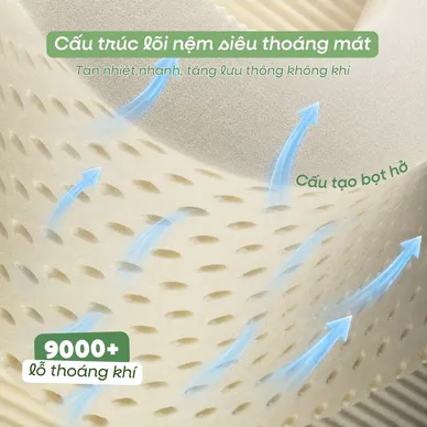 Nệm cao su Gummi 7zones nhập khẩu dày 12cm - Ảnh 8