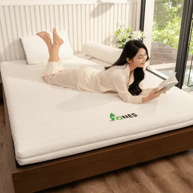 Nệm cao su Gummi 7zones nhập khẩu dày 12cm - Ảnh 4