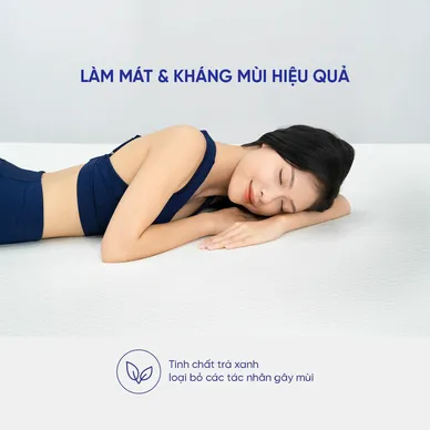 Nệm foam Goodnight Galaxy trà xanh kháng khuẩn dày 12cm - Ảnh 6