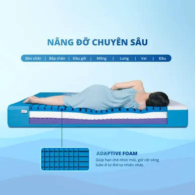 Nệm foam Nhật Bản Aeroflow Pride bảo vệ cột sống dày 22cm - Ảnh 4