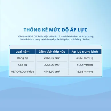 Nệm foam Nhật Bản Aeroflow Pride bảo vệ cột sống dày 22cm - Ảnh 10