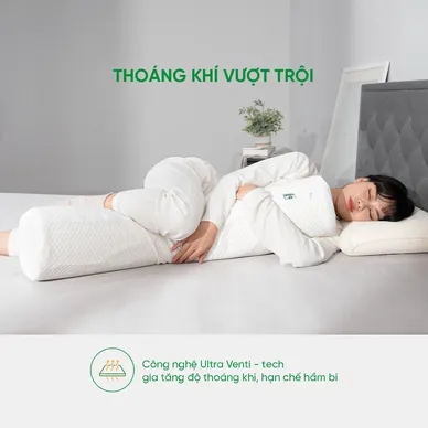 Gối ôm Cao su Gummi Body 100% thiên nhiên thoáng mát - Ảnh 7