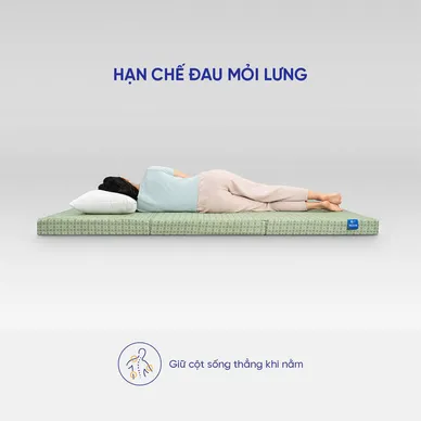 Nệm bông ép Goodnight Nova gấp 3 dày 5/9cm - Ảnh 5