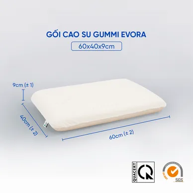Gối cao su Gummi Evora 100% thiên nhiên massage thoáng khí - Ảnh 2