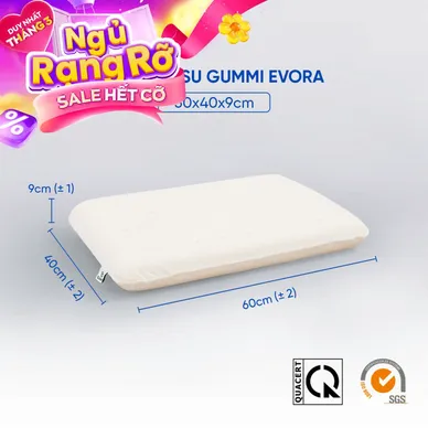 Gối cao su Gummi Evora 100% thiên nhiên massage thoáng khí - Ảnh 2