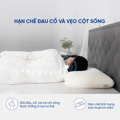 Gối cao su Gummi Evora 100% thiên nhiên massage thoáng khí - Ảnh 7