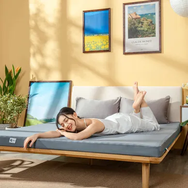 (Hàng xả tồn) Nệm foam Goodnight Osaka - Ảnh 7