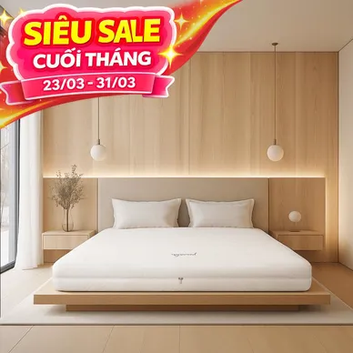 Nệm cao su cao cấp Gummi Legend nhập khẩu dày 20cm - Ảnh 2