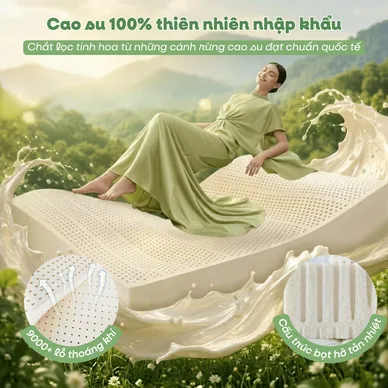 Nệm cao su cao cấp Gummi Legend nhập khẩu dày 20cm - Ảnh 4