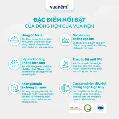 Nệm cao su đa tầng Kim Cương Stella dày 15cm - Ảnh 7