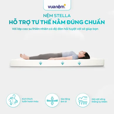 Nệm cao su đa tầng Kim Cương Stella dày 15cm - Ảnh 6