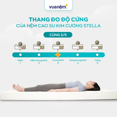 Nệm cao su đa tầng Kim Cương Stella dày 15cm - Ảnh 5