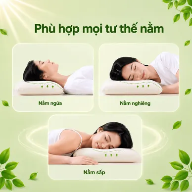 Gối cao su Gummi Cookie 100% thiên nhiên nâng đỡ, giảm căng cơ - Ảnh 7