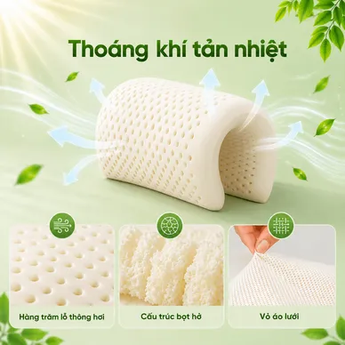 Gối cao su Gummi Cookie 100% thiên nhiên nâng đỡ, giảm căng cơ - Ảnh 4