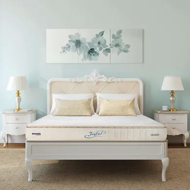 (Xả kho) Nệm lò xo Dunlopillo Joyful dày 28cm - Ảnh 2