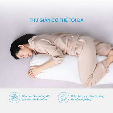 Ruột gối ôm Doona Microfiber CC - Ảnh 6