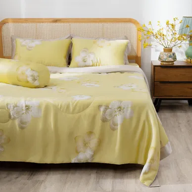 Chăn chần tencel Amando Bliss - Ảnh 9