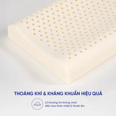 Gối cao su trẻ em Gummi Pudding 100% thiên nhiên - Ảnh 8