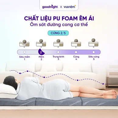 Nệm foam Goodnight Core (Akita) gấp 3 dày 8cm - Ảnh 4