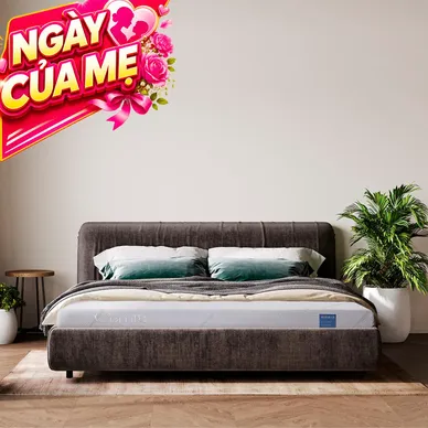 Nệm foam Comfy Cloud 1.0 thoáng khí vượt trội dày 12cm - Ảnh 2