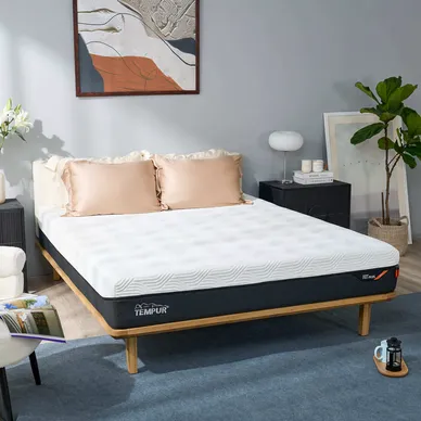 (Phiên bản giới hạn) Nệm Foam Tempur Pro Plus Firm cân bằng trọng lực dày 25cm - Ảnh 5