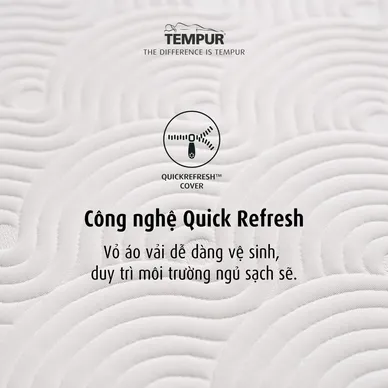 (Phiên bản giới hạn) Nệm Foam Tempur Pro Plus Medium Firm tương thích toàn diện dày 25cm - Ảnh 9