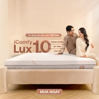 Nệm foam làm mát, kháng khuẩn nâng đỡ 5 vùng Comfy Lux 1.0 - Ảnh 2