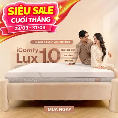 Nệm foam làm mát, kháng khuẩn nâng đỡ 5 vùng Comfy Lux 1.0 - Ảnh 2
