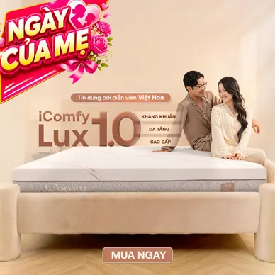 Nệm foam làm mát, kháng khuẩn nâng đỡ 5 vùng Comfy Lux 1.0 - Ảnh 2