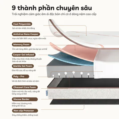 Nệm foam làm mát, kháng khuẩn nâng đỡ 5 vùng Comfy Lux 1.0 - Ảnh 4