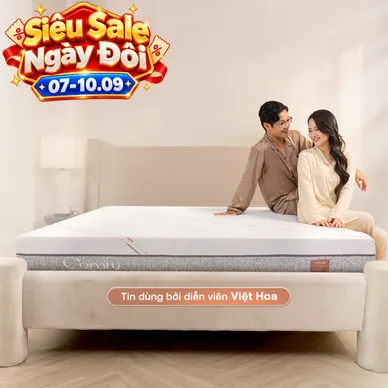 Nệm foam làm mát, kháng khuẩn nâng đỡ 5 vùng Comfy Lux 1.0 - Ảnh 2