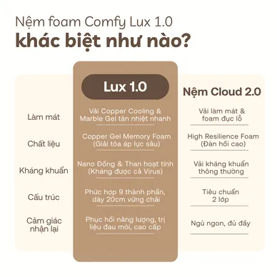 Nệm foam làm mát, kháng khuẩn nâng đỡ 5 vùng Comfy Lux 1.0 - Ảnh 14