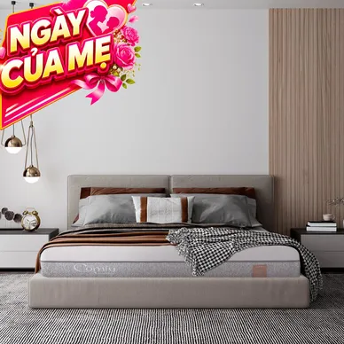 Nệm foam Comfy Lux 2.0 cao cấp kháng khuẩn kép dày 22cm - Thumbnail