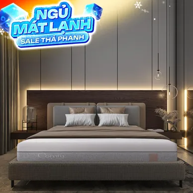 Nệm foam Comfy Lux 3.0 cao cấp tương thích toàn diện dày 25cm - Ảnh 2