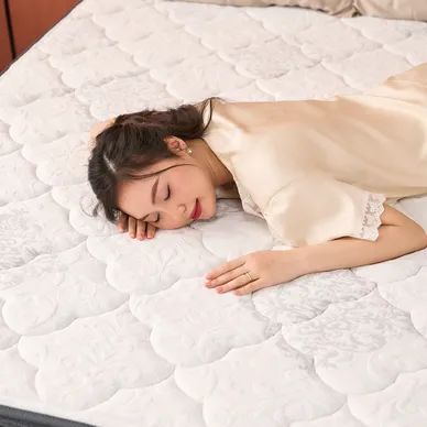 Nệm lò xo Amando Elite Original túi độc lập tiêu chuẩn khách sạn 5 sao dày 23cm - Ảnh 12