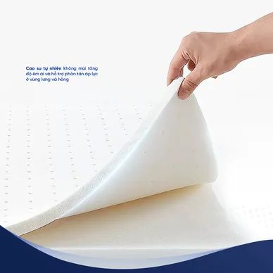 Nệm lò xo Spring Air Back Supporter Firm hỗ trợ nâng đỡ dày 25cm - Ảnh 6