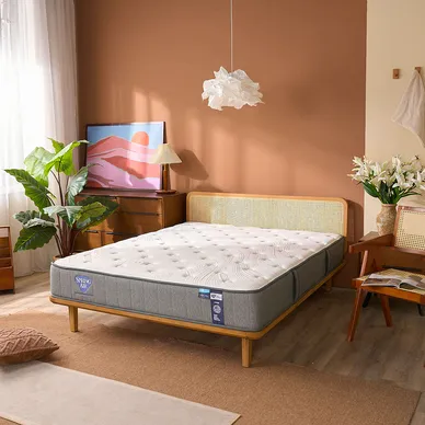 Nệm lò xo Spring Air Back Supporter Firm hỗ trợ nâng đỡ dày 25cm - Ảnh 12