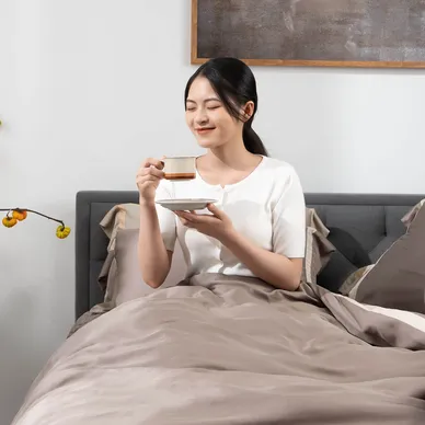 Bộ chăn ga phủ Lụa tencel cao cấp Amando Confident 5 chi tiết Màu Nâu - Ảnh 11