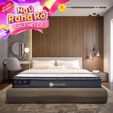 Nệm lò xo túi độc lập Amando Elite Plus giảm tiếng ồn dày 25cm - Ảnh 2