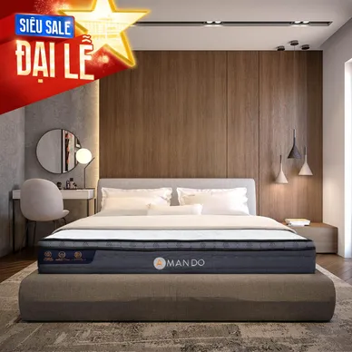 Nệm lò xo túi độc lập Amando Elite Plus giảm tiếng ồn dày 25cm - Ảnh 2